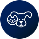 petco-salesforce-2025