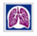 pulmonary-physicians-of-south-florida-clinics-2025