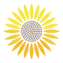sunflower-medical-group-2025